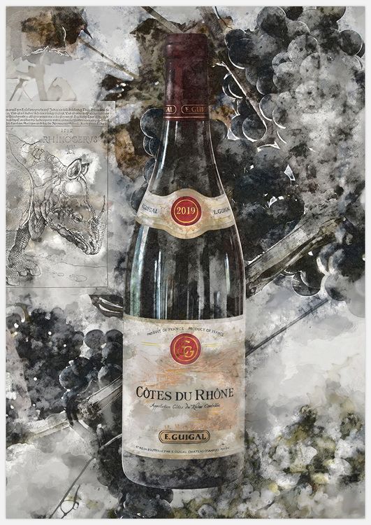 Wine Artwork Art Print