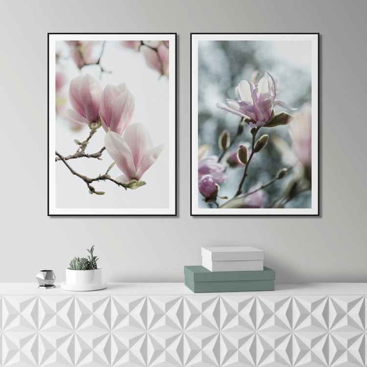 Magnolia buds