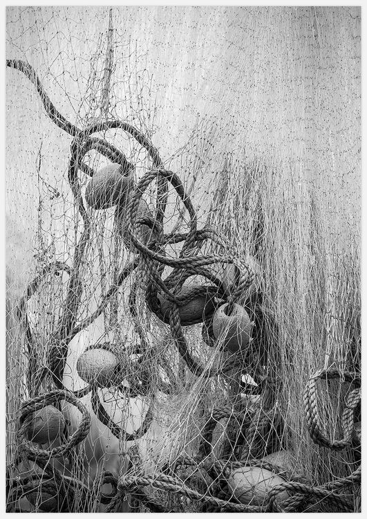 Fisherman's Net