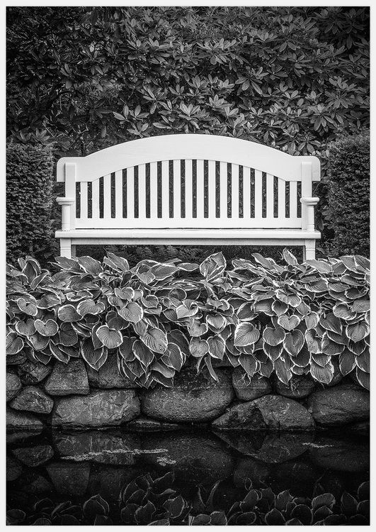 Park Bench