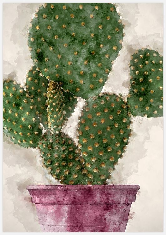 Painted cactus