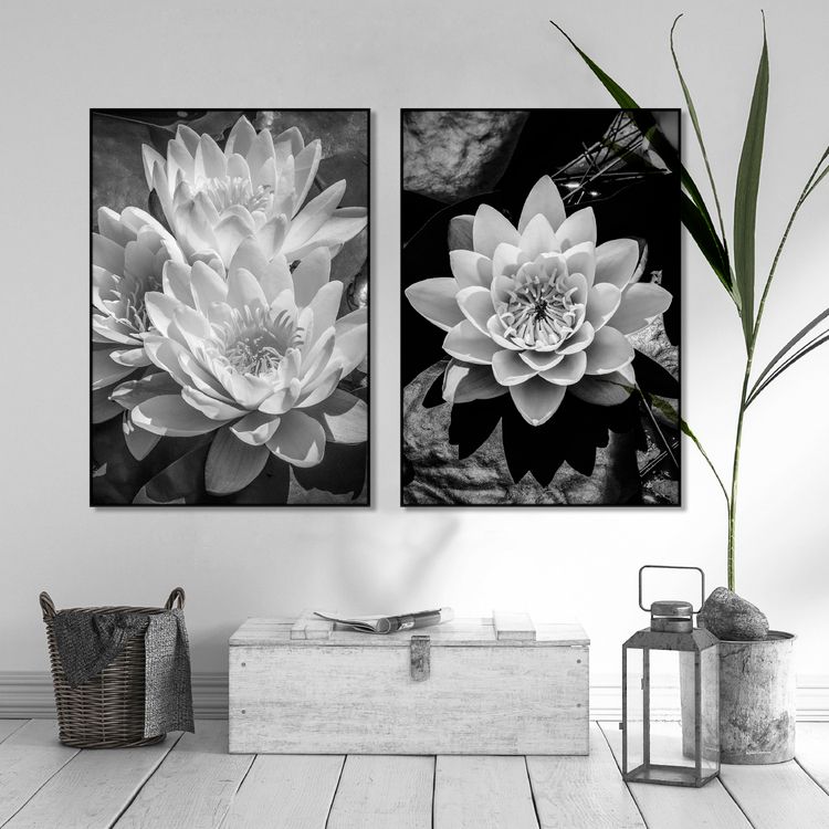 Water Lily Art, black & white