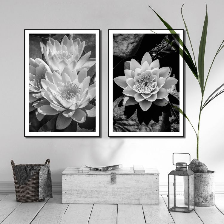 Water Lily Art, black & white