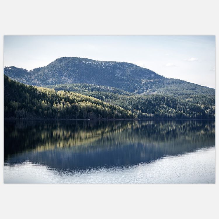 Beautiful Fjord