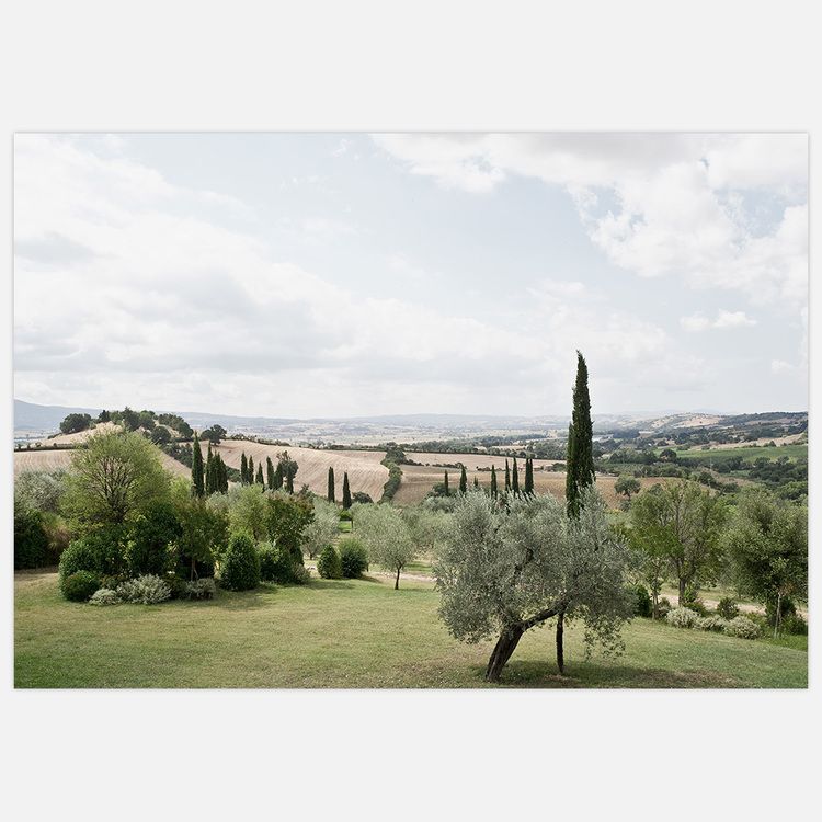 Tuscany Landscape
