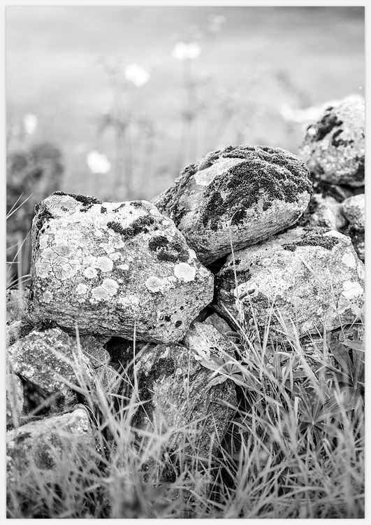 Stones