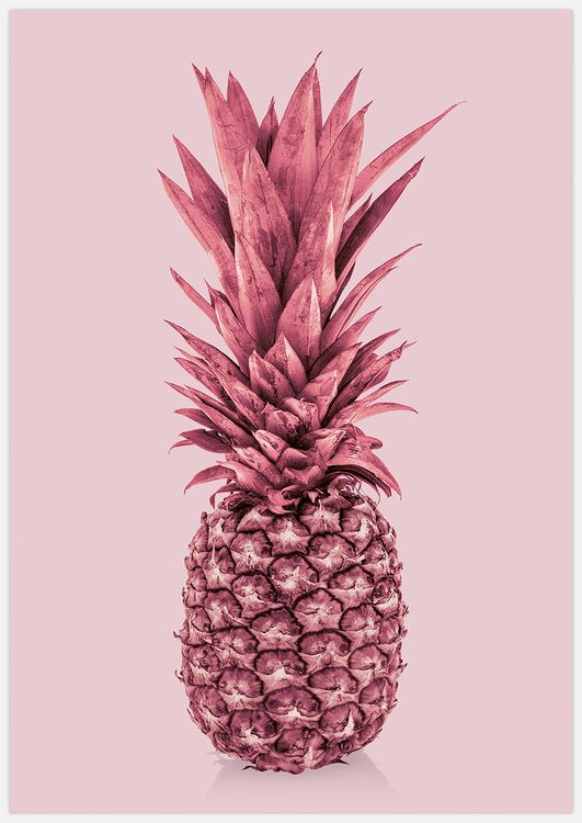 Absolutely Pink Pineapple