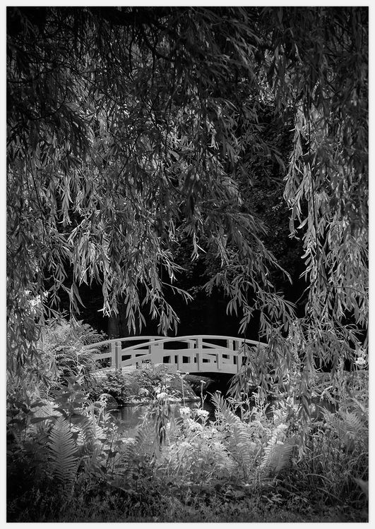Garden Bridge