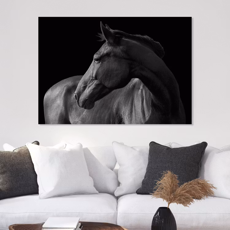 Horse black & white Canvas Print