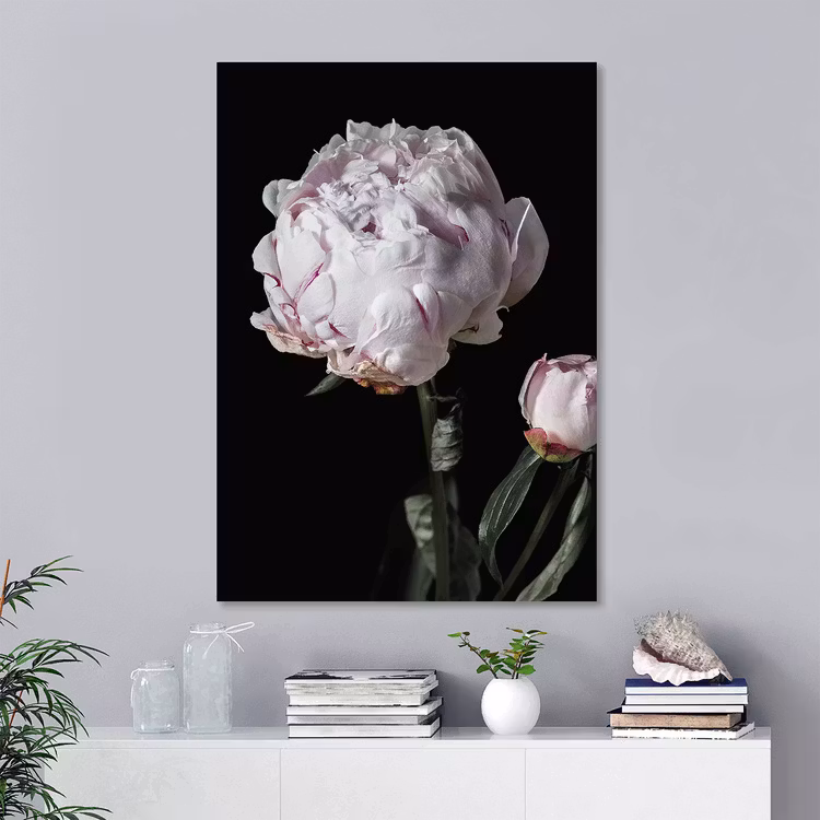 Peony Bud Canvas Print