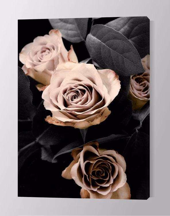 Classic Roses Canvas Print
