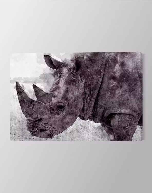 Rhinoceros Paint Canvas Print