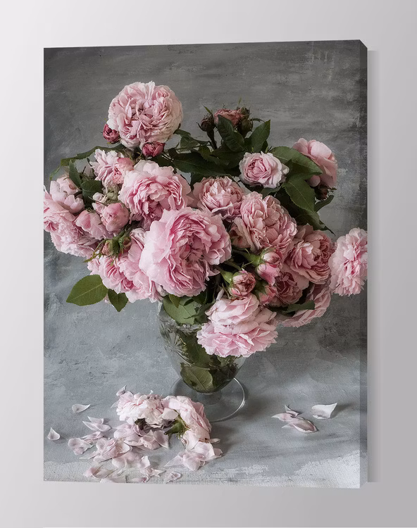 Rose Duchesse de Montebello’ Canvas Print