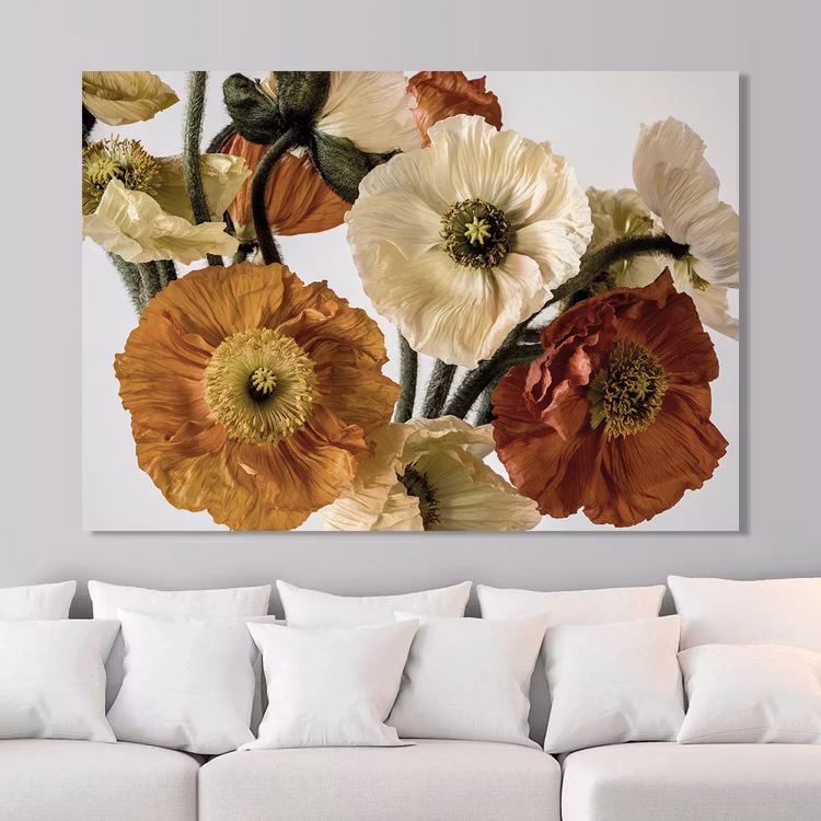 Light-colour Poppies Canvas Print
