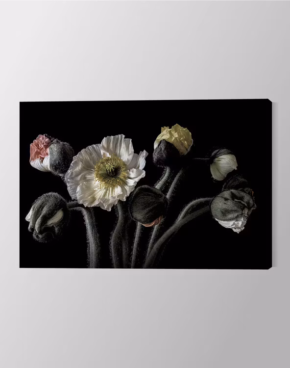 Poppy Bouquet Canvas Print