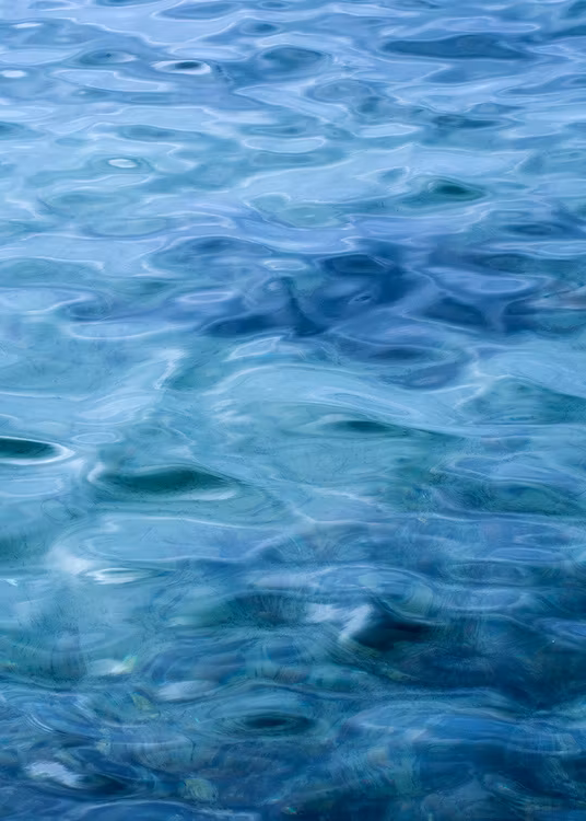 Water Art Canvas Print