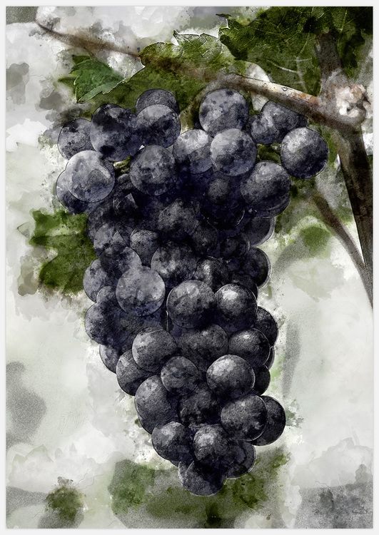 Gallery Wall Wine & Grapes inspiration
