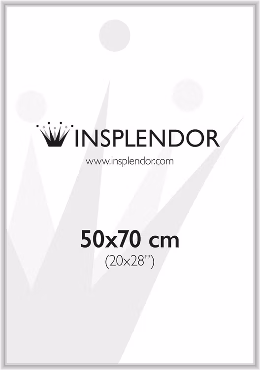 Silver colored picture frame 50x70 cm – 20x28 in – 8x22 mm