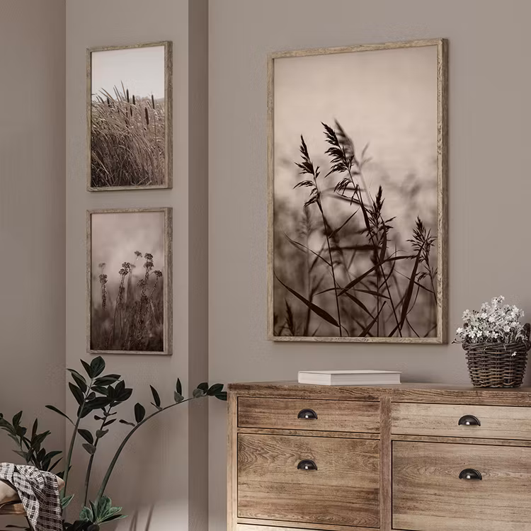 Reeds in evening light 3 Art Print