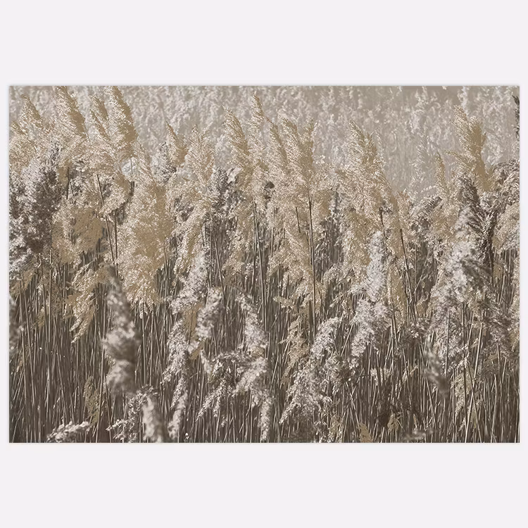 Wall Art Reeds Art Print, artwork Insplendor art studio.