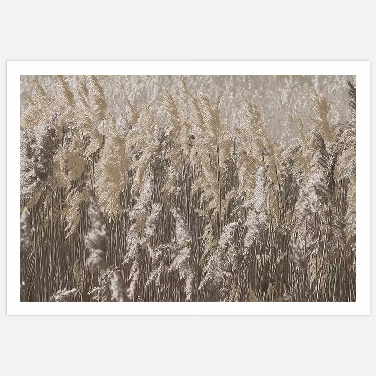 Reeds Art Print
