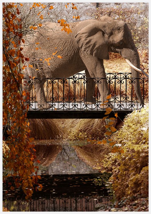 Elephant Park in yellow Art Print