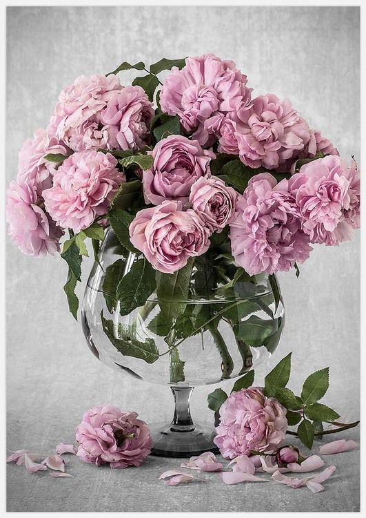 Gallery Wall Bowl of Roses inspiraiton – Fine Art Print