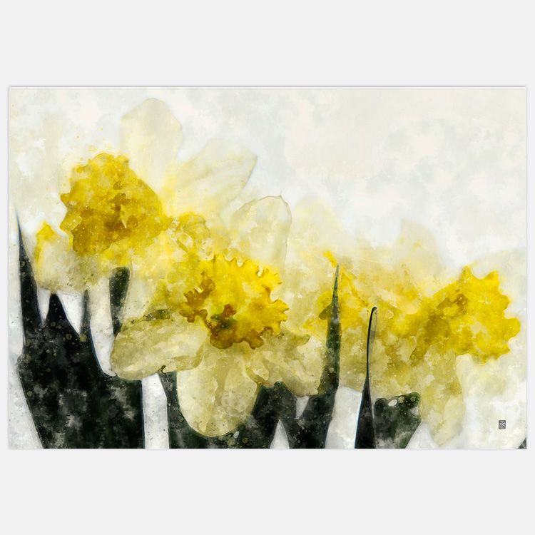 Daffodils Art Print