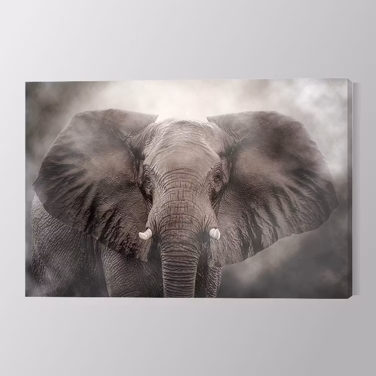 Elephant Art Canvas