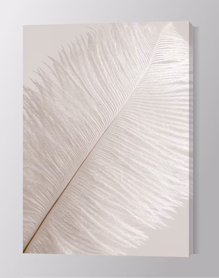 Soft Feather Canvas