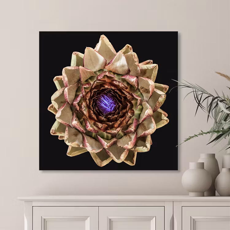 The Artichoke Canvas