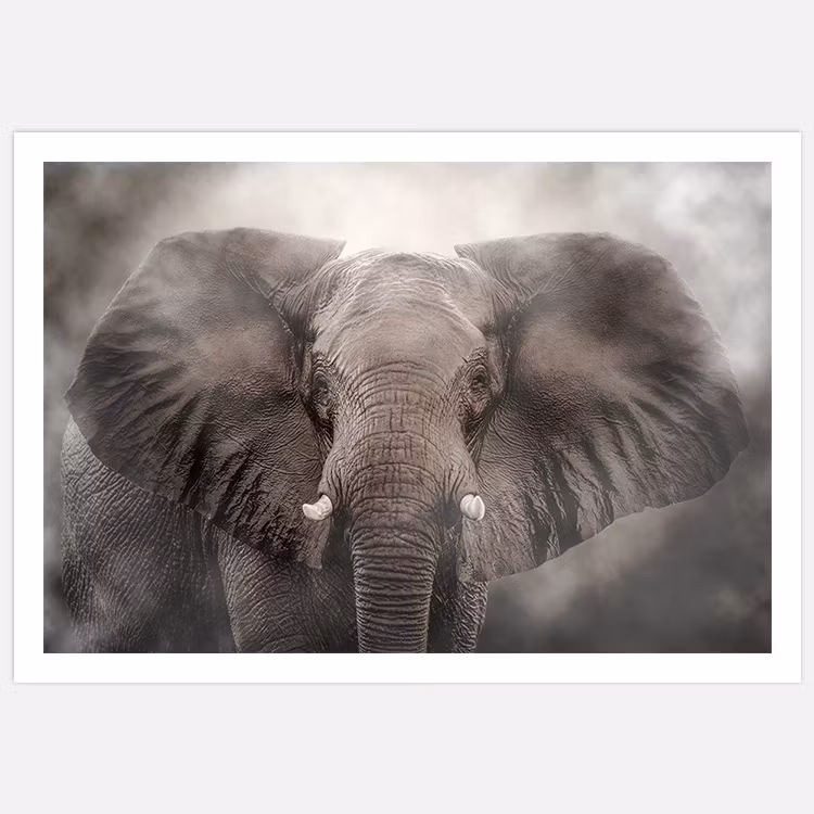 Elephant Art Print