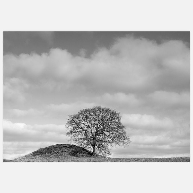 Early Spring Art Print