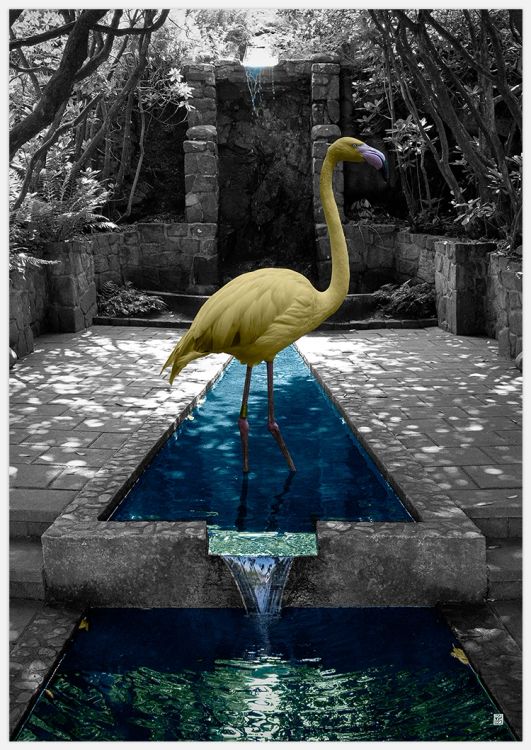 Golden Flamingo Art Print