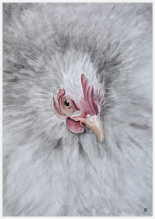 Hen Art Print