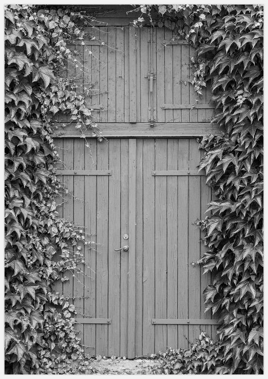 Old wooden doorway Art Print
