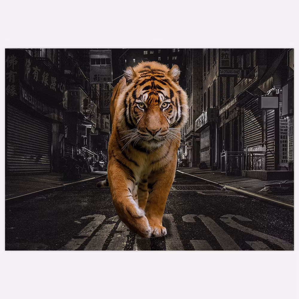 Gallery Wall City Tiger – Fine Art Print