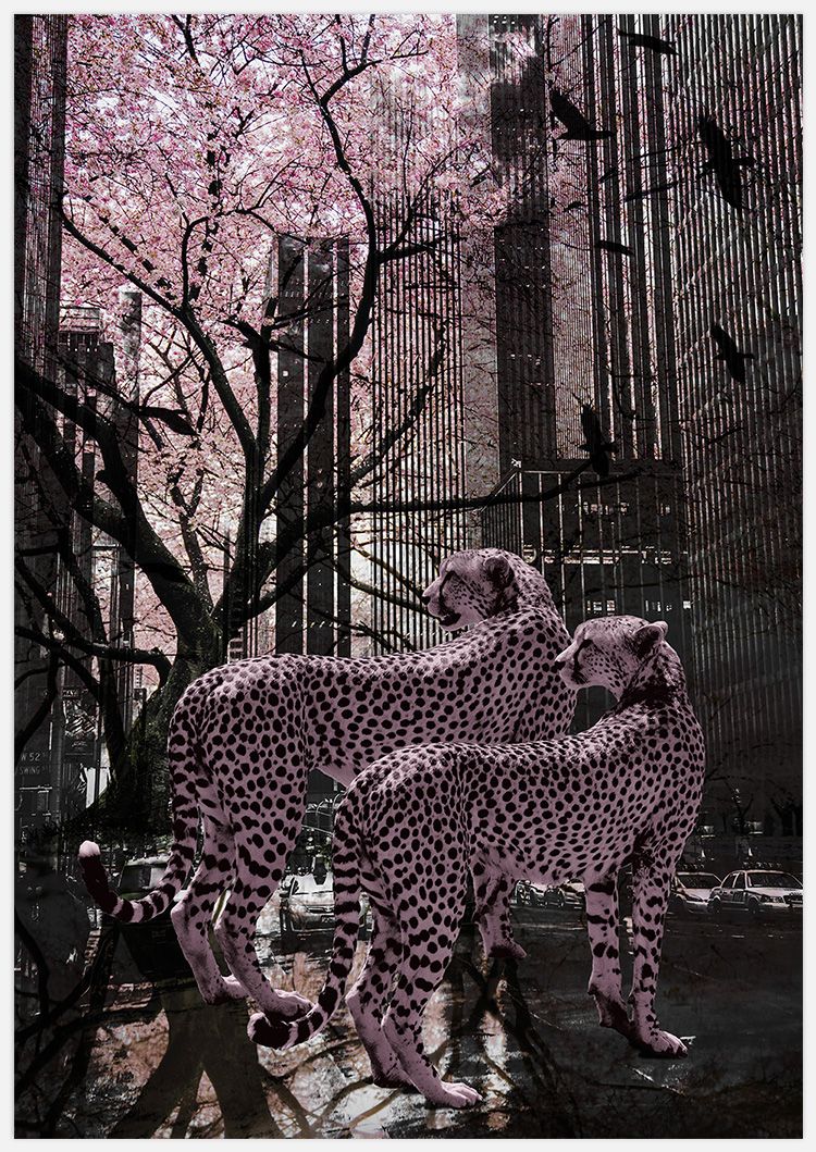 Pink Cheetah Art Print