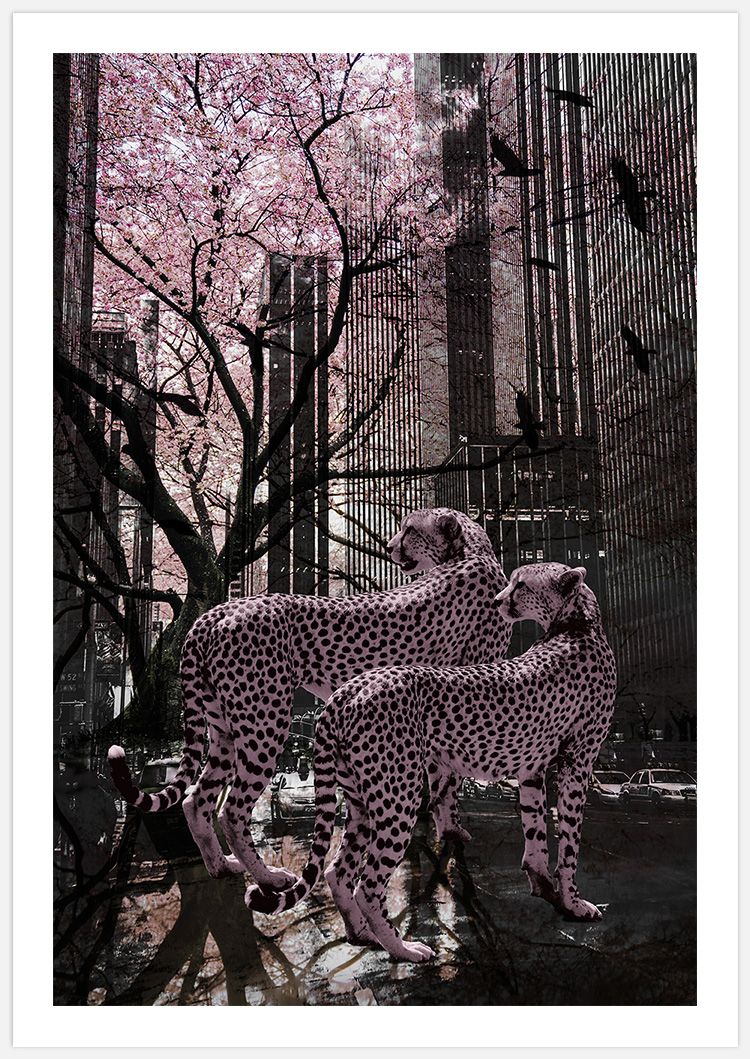 Pink Cheetah Art Print
