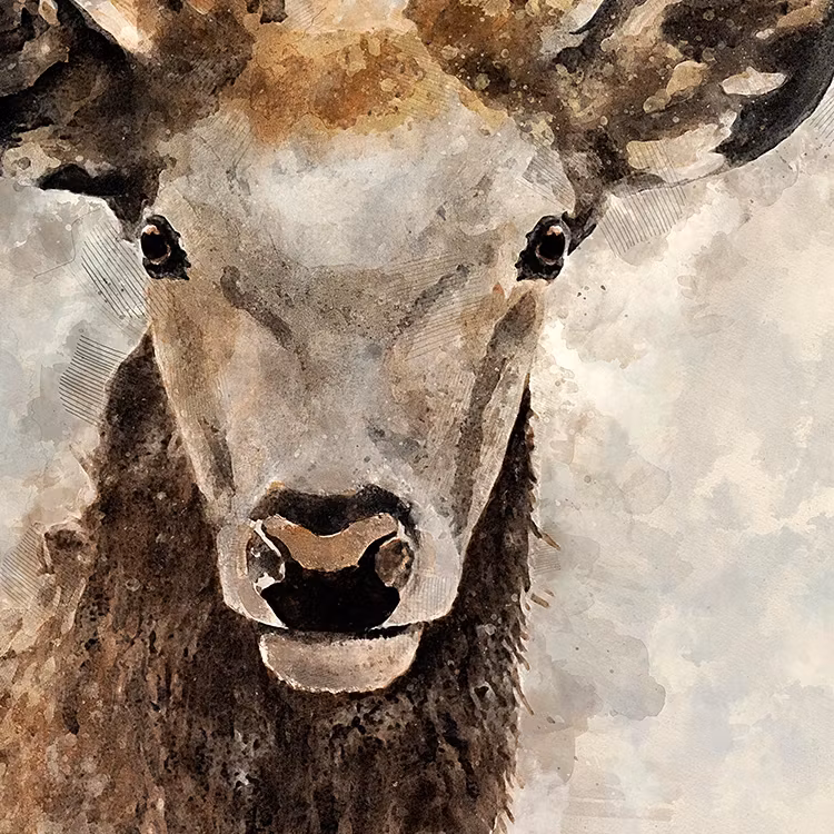 Gallery Wall Deer inspiration