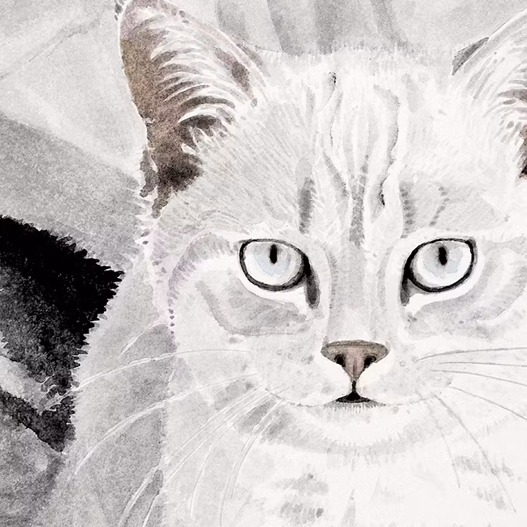 Cookie the Cat Art Print