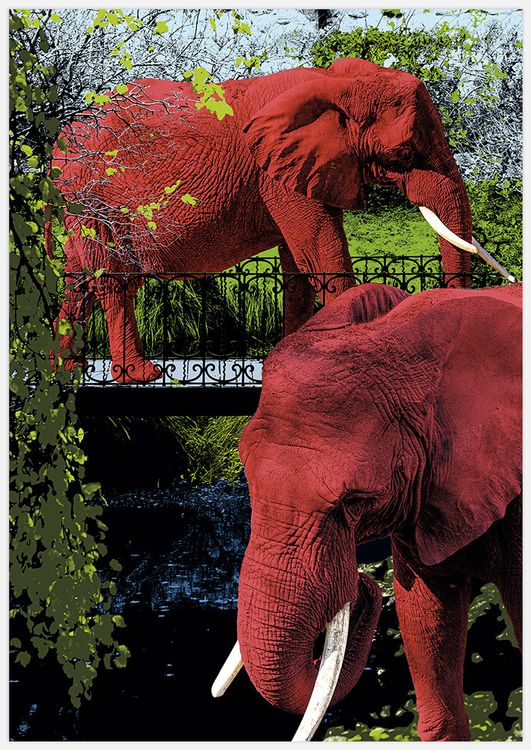 Elephant Park Art Print