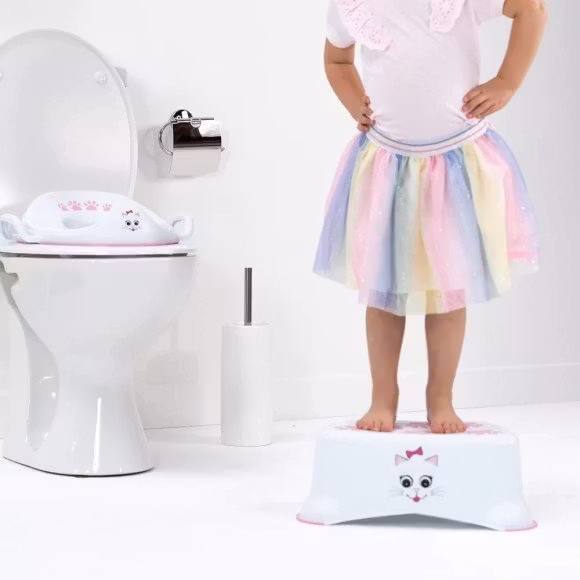 My Carry Potty Nordic