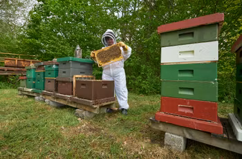 Andelsbiodling Bigård Tockarp Bjäre år 2026