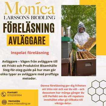 Föreläsning Avläggare -Inspelat