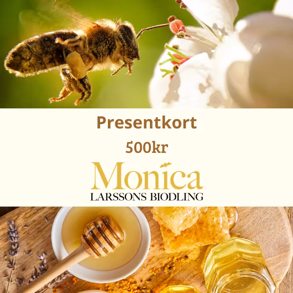 Presentkort