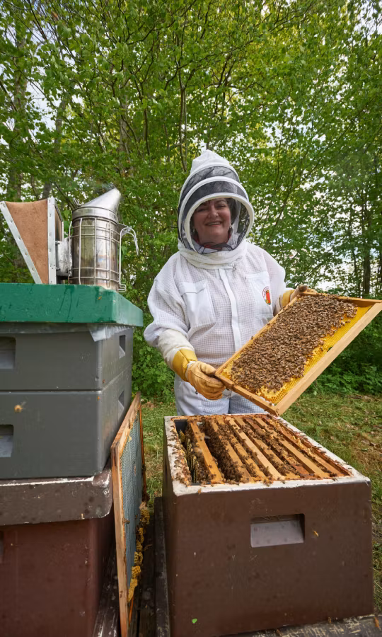 Monica Larssons Biodling