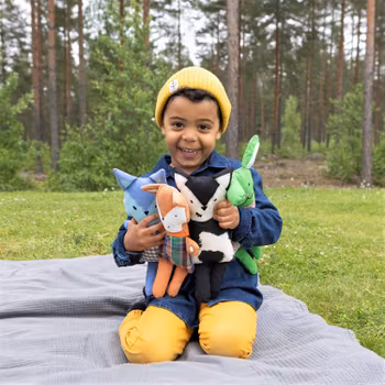 Presentlåda Djurkompis
