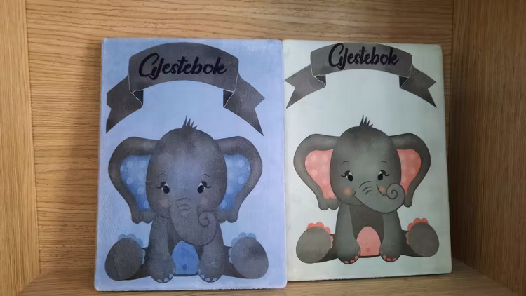 Gave og gjestebok til dåp