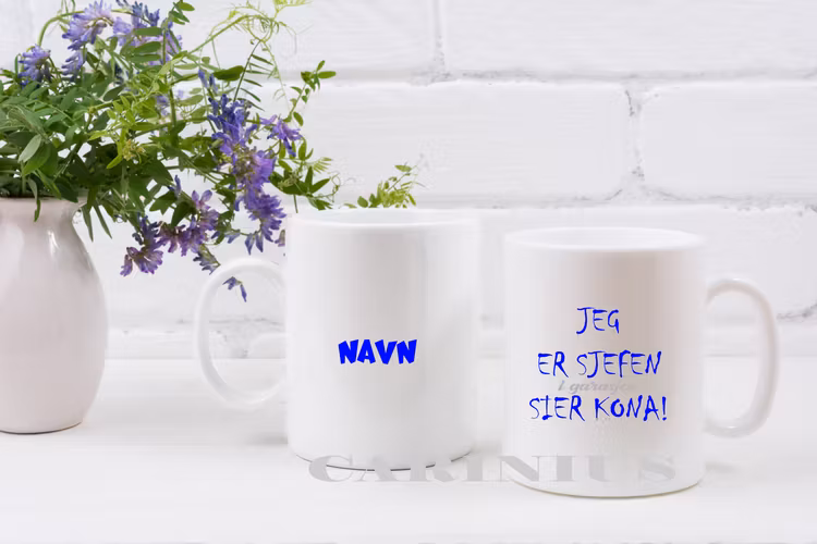 Jeg er sjefen i garasjen, sier kona!